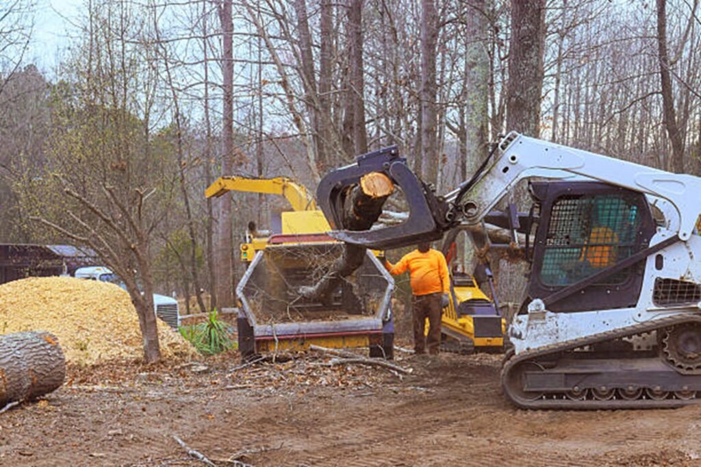 Residential property after professional tree removal with logs processed and the hazardous tree safely removed in Eureka, MO.