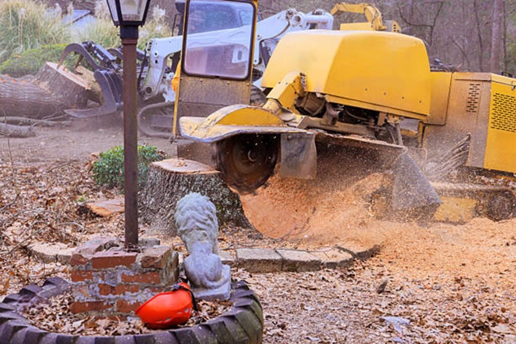 Professional stump grinding machine removing a large tree stump while clearing wood chips during a residential stump grinding project in Eureka, MO.