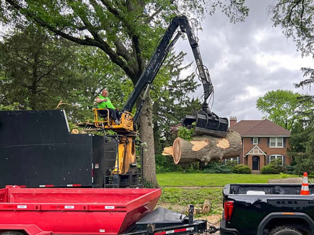 Professional tree removal crew using heavy equipment to safely lift and remove large tree sections during a residential tree removal project in Eureka, MO.