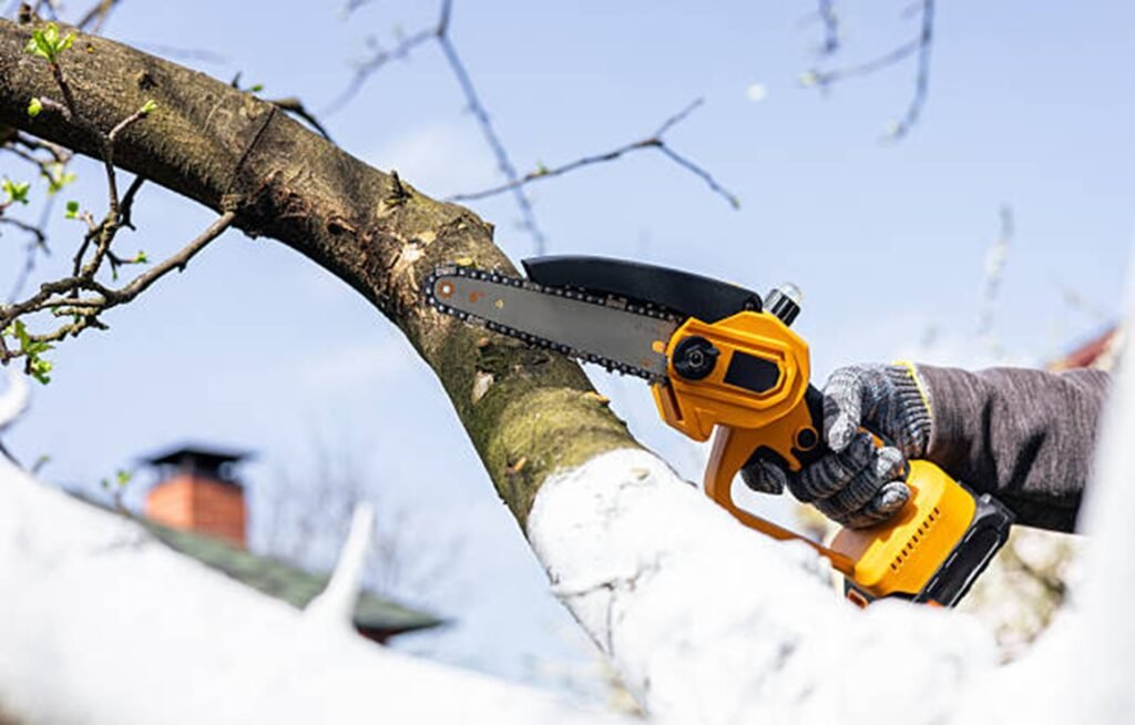 Professional tree trimming specialist pruning a large tree branch with a chainsaw to improve tree health and safety in Eureka, MO.