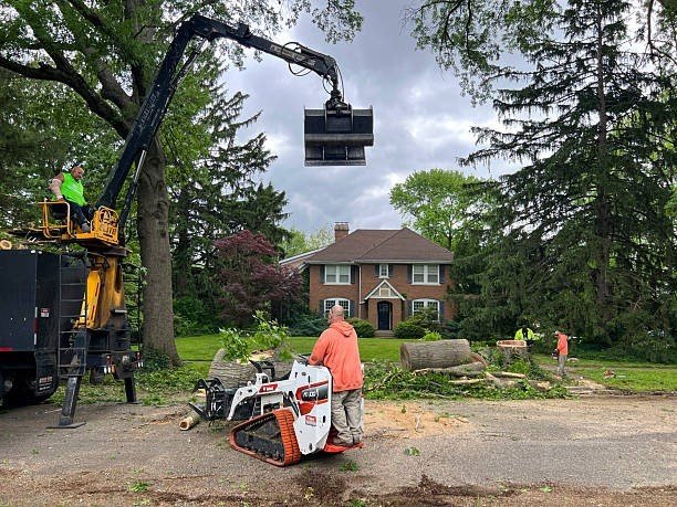 Professional tree care crew using heavy equipment to remove trimmed tree sections during a tree trimming and pruning project in Eureka, MO.