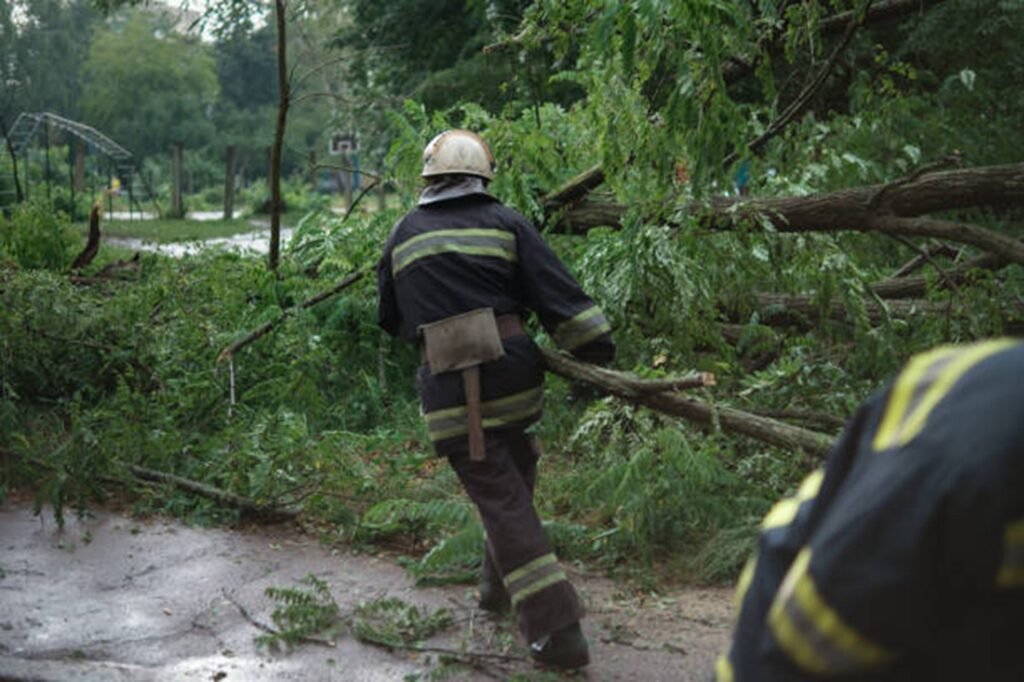 Professional crew clearing fallen trees and storm debris from a residential roadway during storm damage cleanup in Eureka, MO.