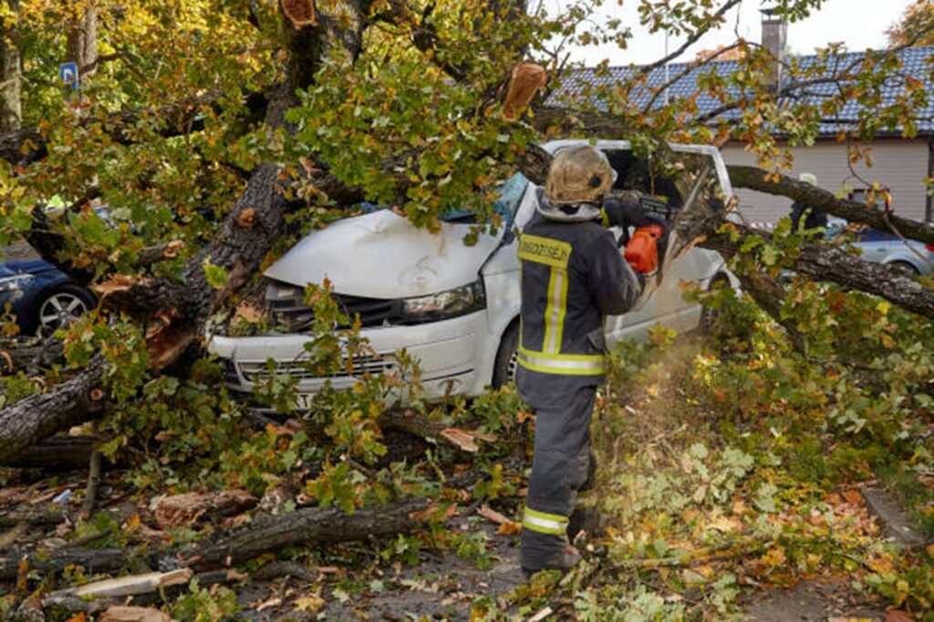 Emergency tree service crew removing a large fallen tree from a damaged vehicle after severe storm damage in Eureka, MO.