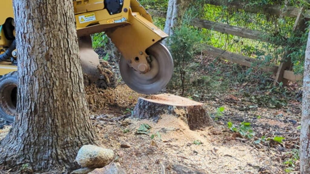 Commercial stump grinder removing a tree stump below ground level during professional stump grinding and removal service in Eureka, MO.