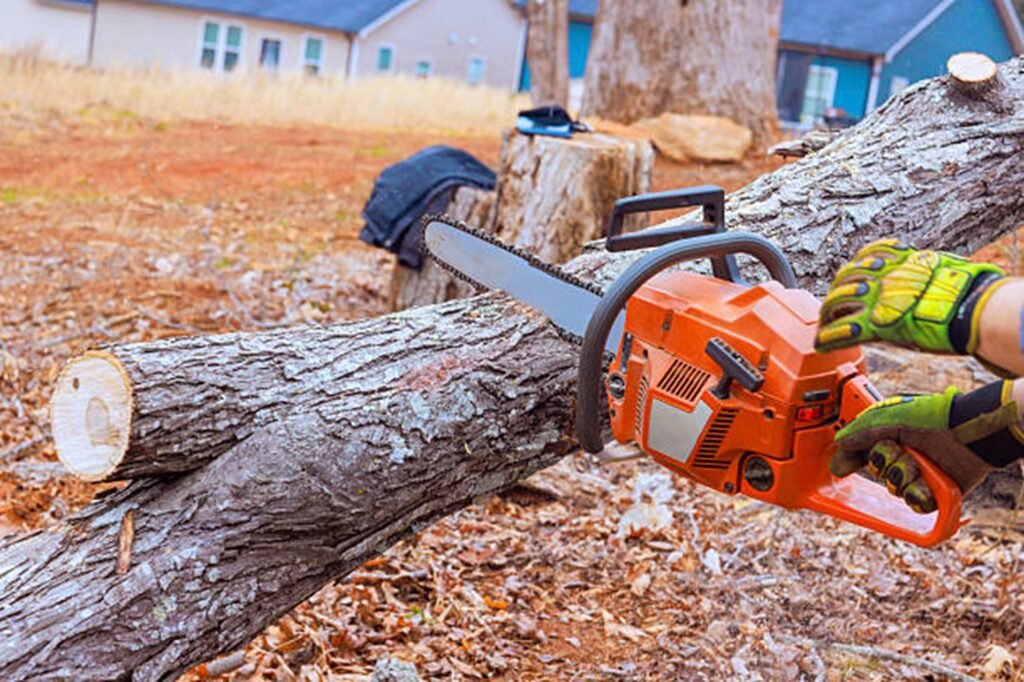 Professional chainsaw cutting through a fallen tree during emergency tree removal service at a residential property in Eureka, MO.