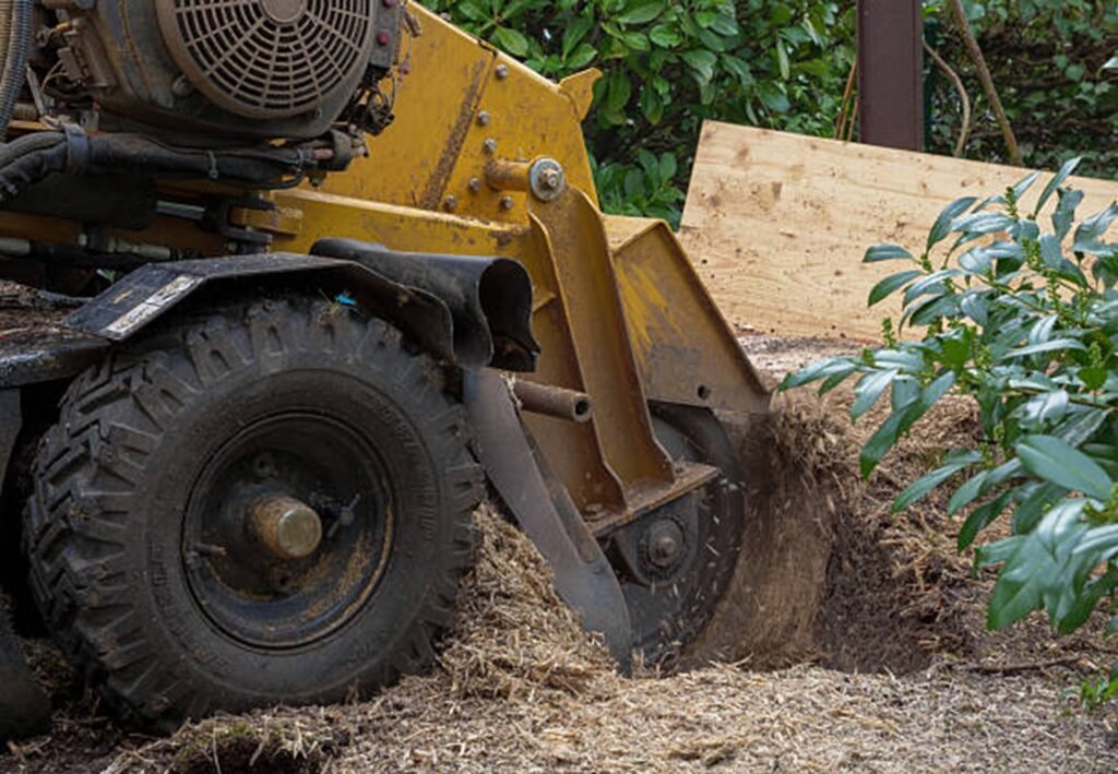 Professional stump grinding machine removing a tree stump from a residential yard during stump grinding and removal service in Eureka, MO.