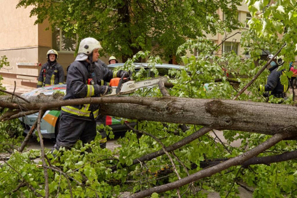 Emergency tree service crew safely cutting and removing a fallen tree blocking a residential street in Eureka, MO after severe storm damage.