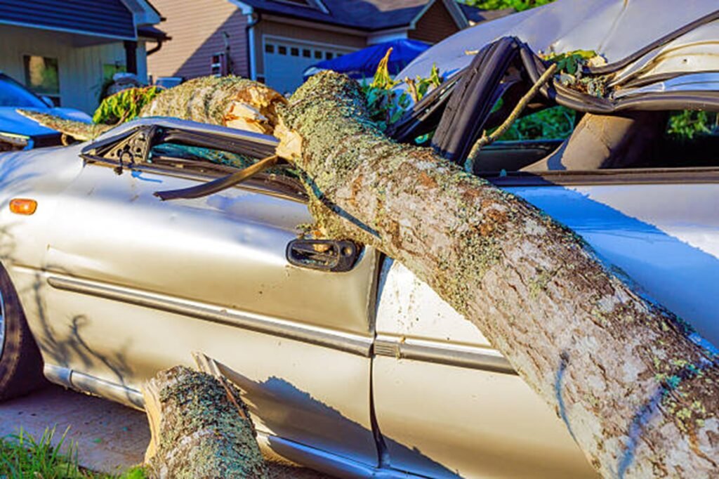 Large fallen tree crushing a parked vehicle after a severe storm, highlighting the need for professional storm damage cleanup in Eureka, MO.