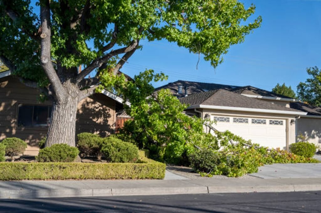 Storm-damaged tree with broken limbs blocking a residential driveway before professional storm damage cleanup in Eureka, MO.